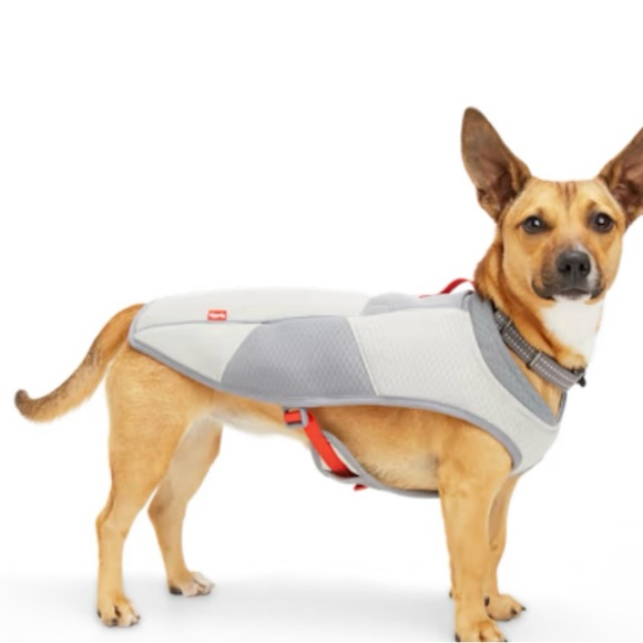 NWT, Reddy dog vest, M 18 - 21 inches, Grey/ Red - Picture 6 of 11